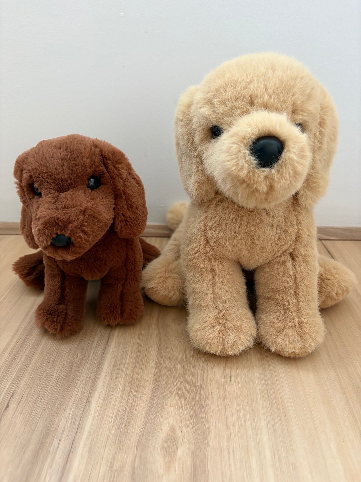 Lacey’s second hand dogs