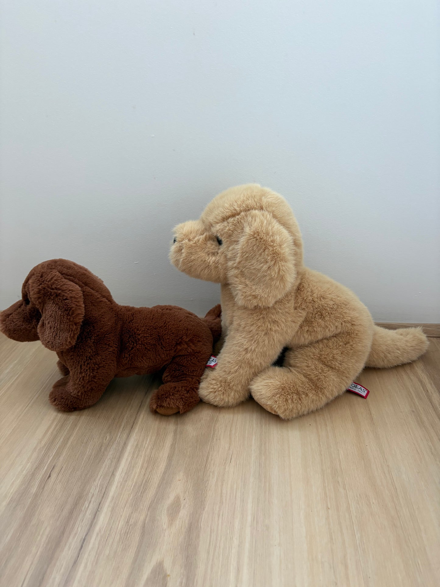 Lacey’s second hand dogs