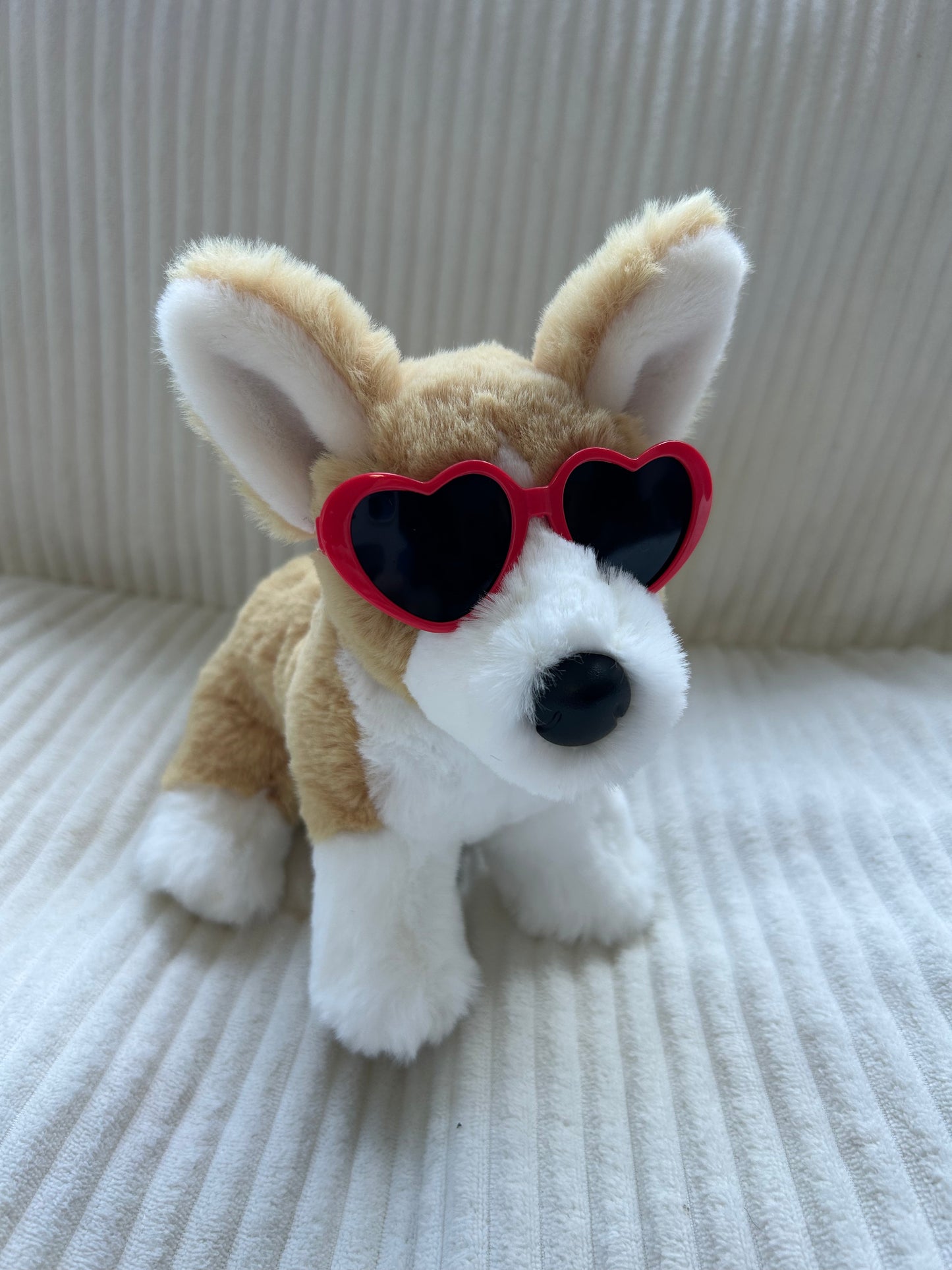 Dog Glasses for Minis and smaller ESSA’s