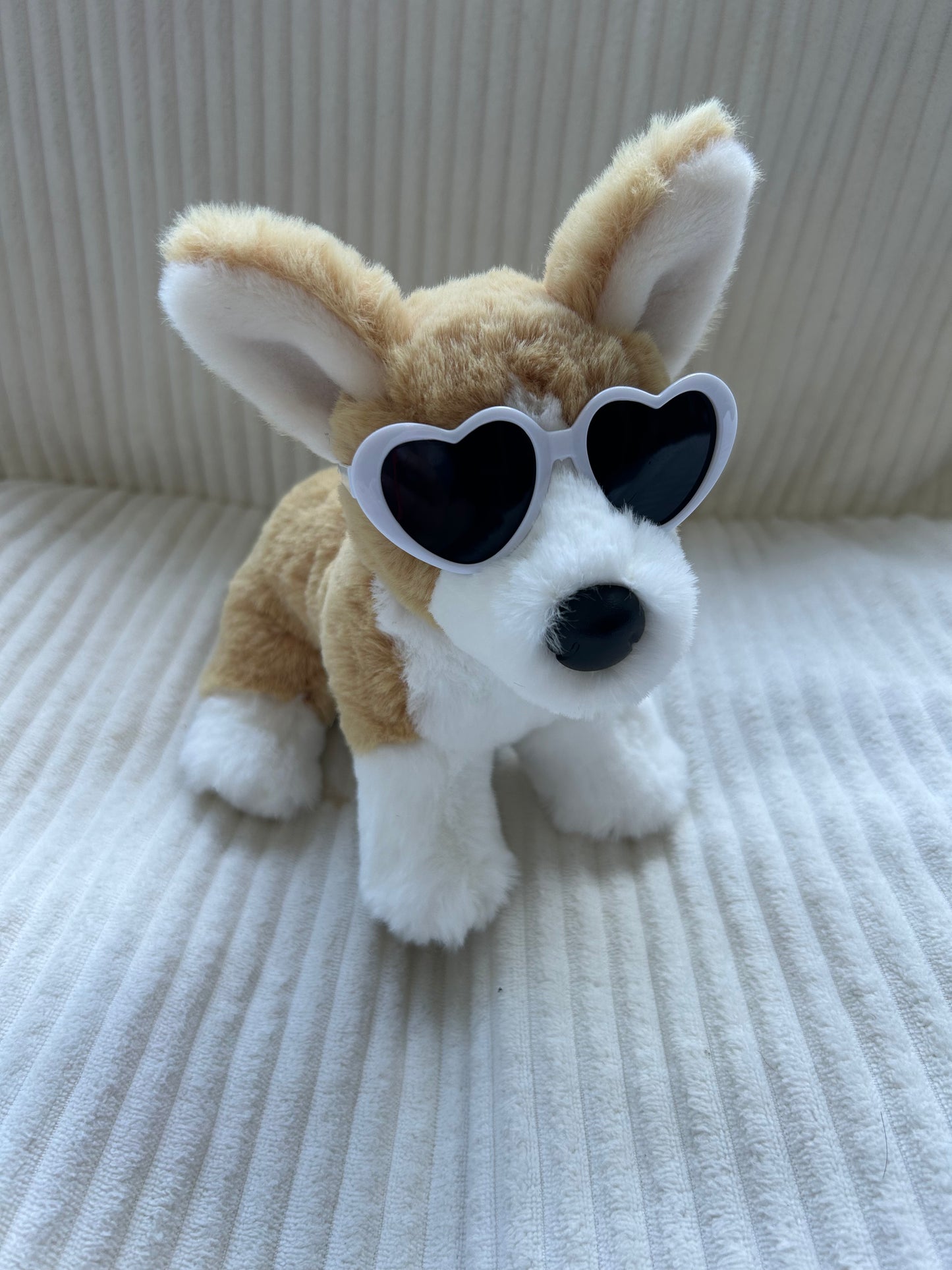 Dog Glasses for Minis and smaller ESSA’s