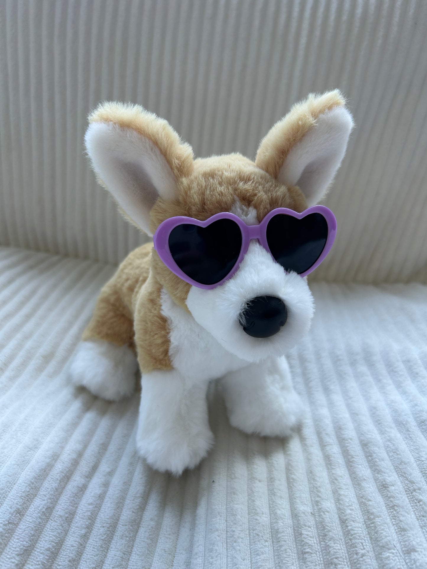 Dog Glasses for Minis and smaller ESSA’s