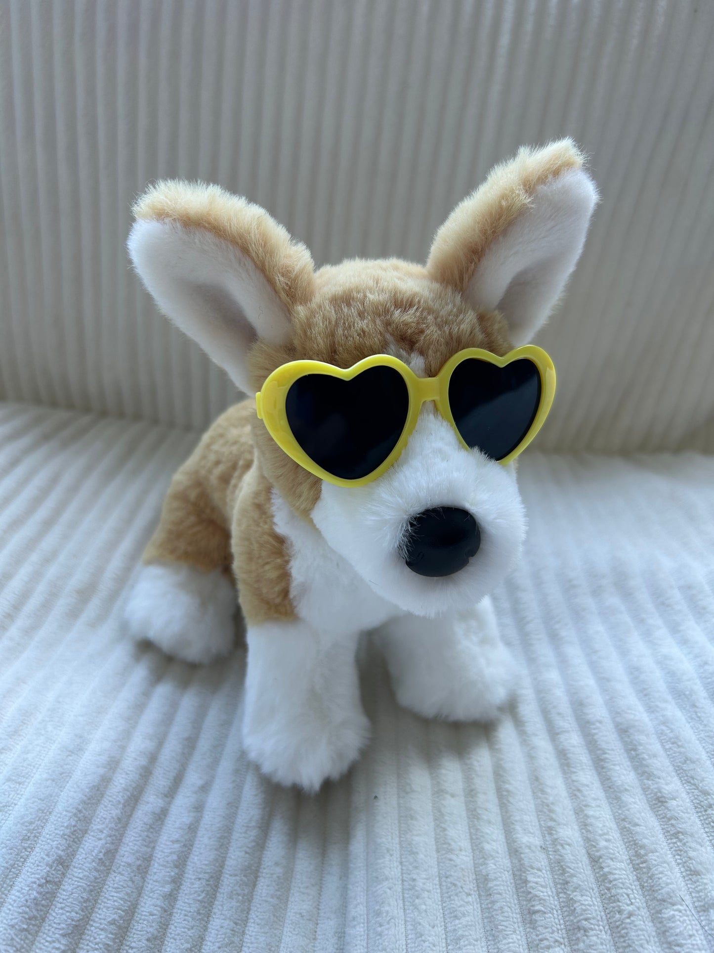 Dog Glasses for Minis and smaller ESSA’s