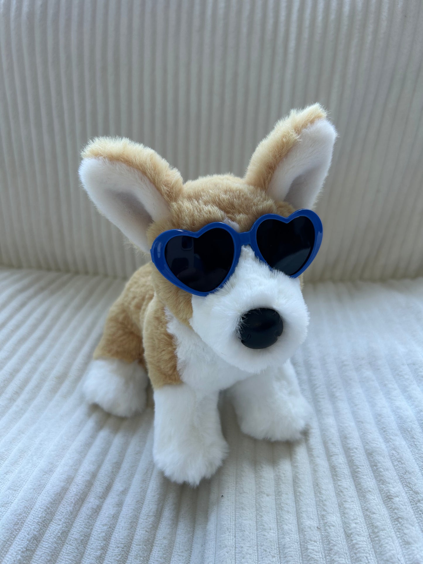 Dog Glasses for Minis and smaller ESSA’s