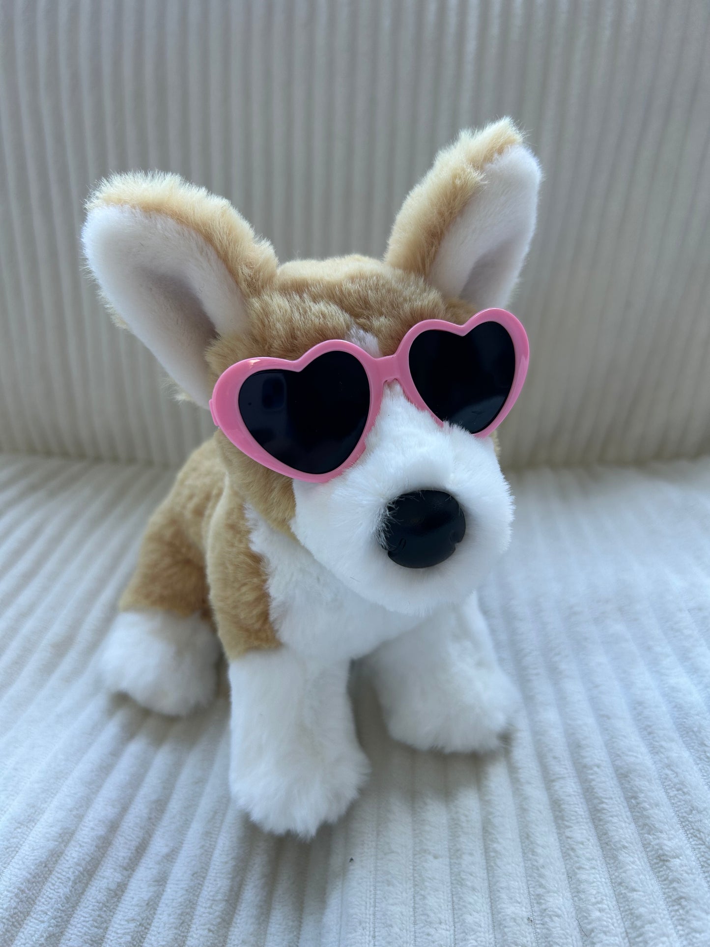 Dog Glasses for Minis and smaller ESSA’s