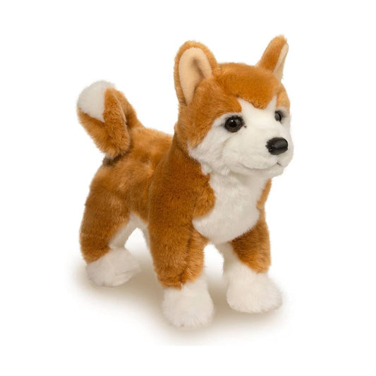 Dunham Shibu Inu