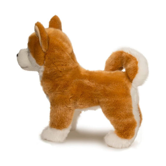 Dunham Shibu Inu