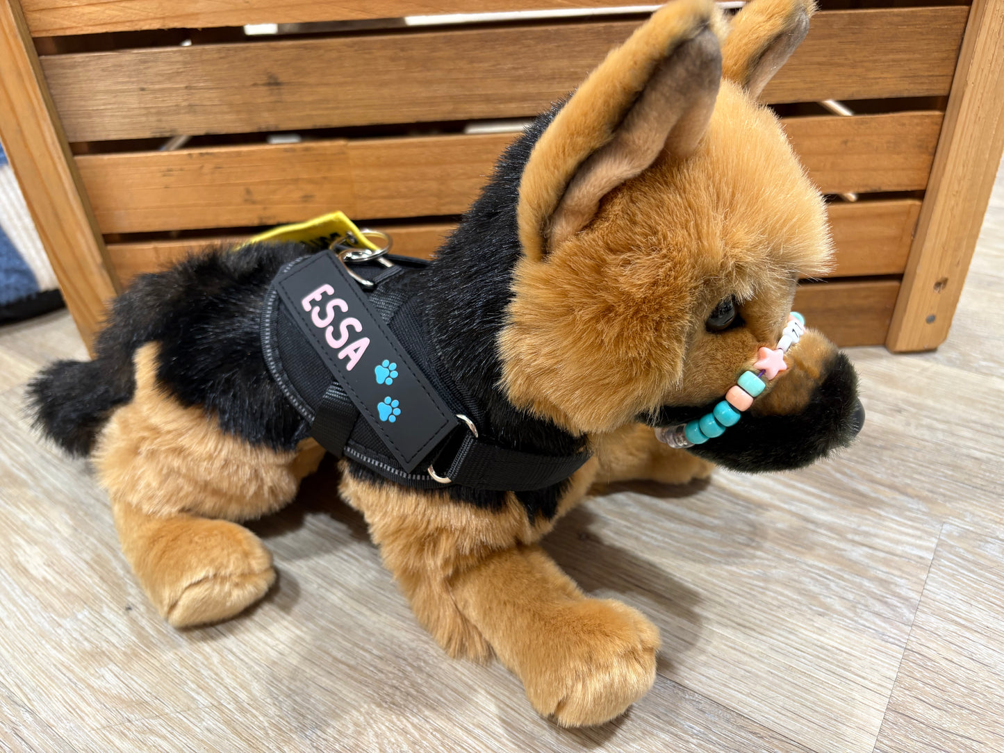 ESSA patches (2 pieces)