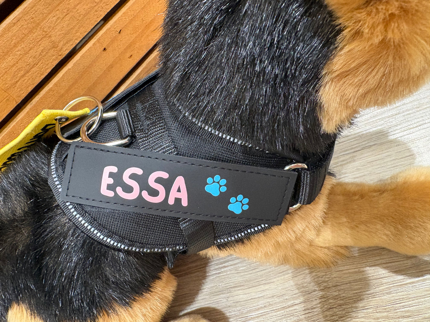 ESSA patches (2 pieces)