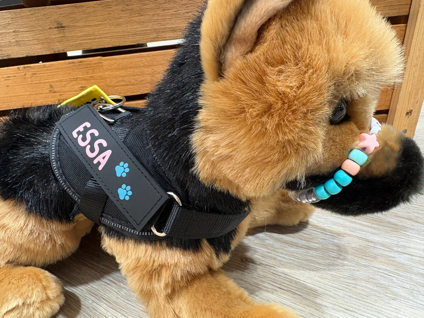 ESSA patches (2 pieces)