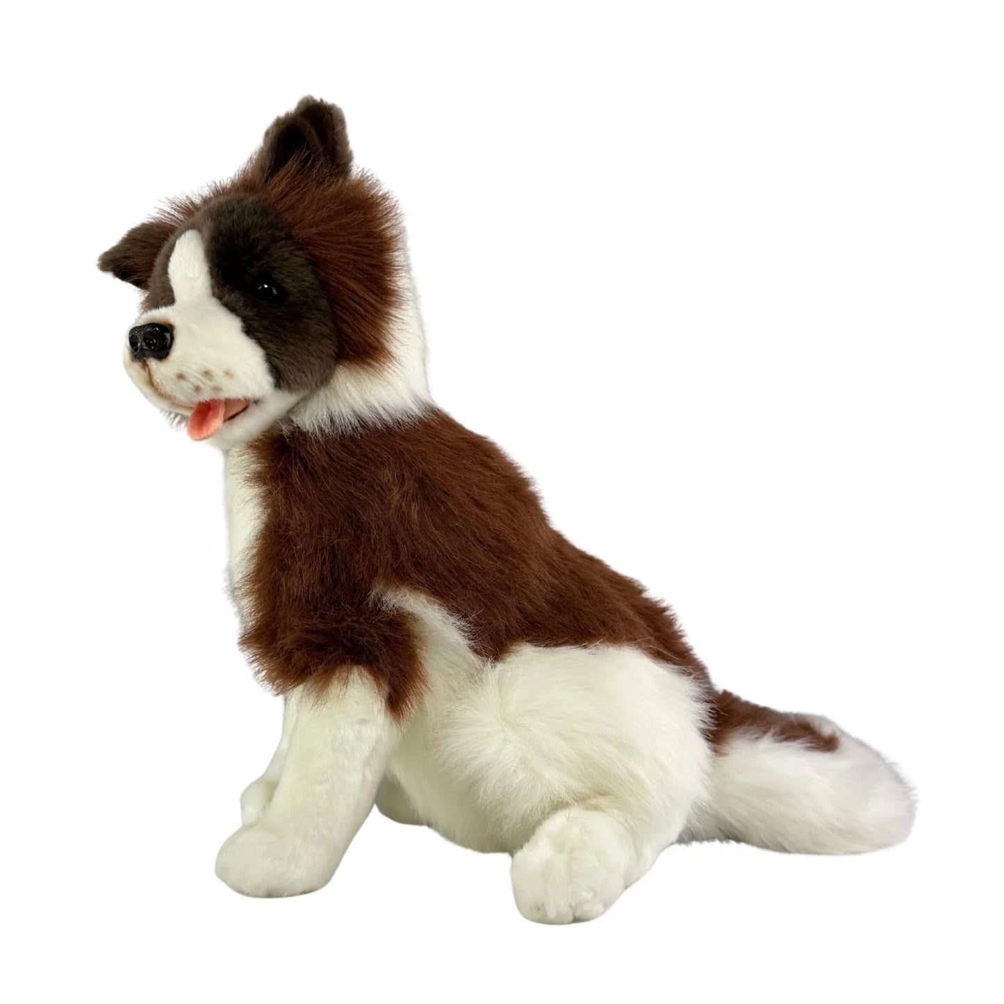 Brandy (Border Collie - Chocolate - 35cm sitting)