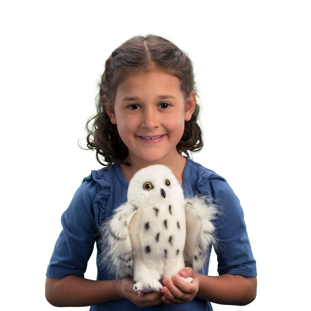 Wizard Snowy Owl by Douglas