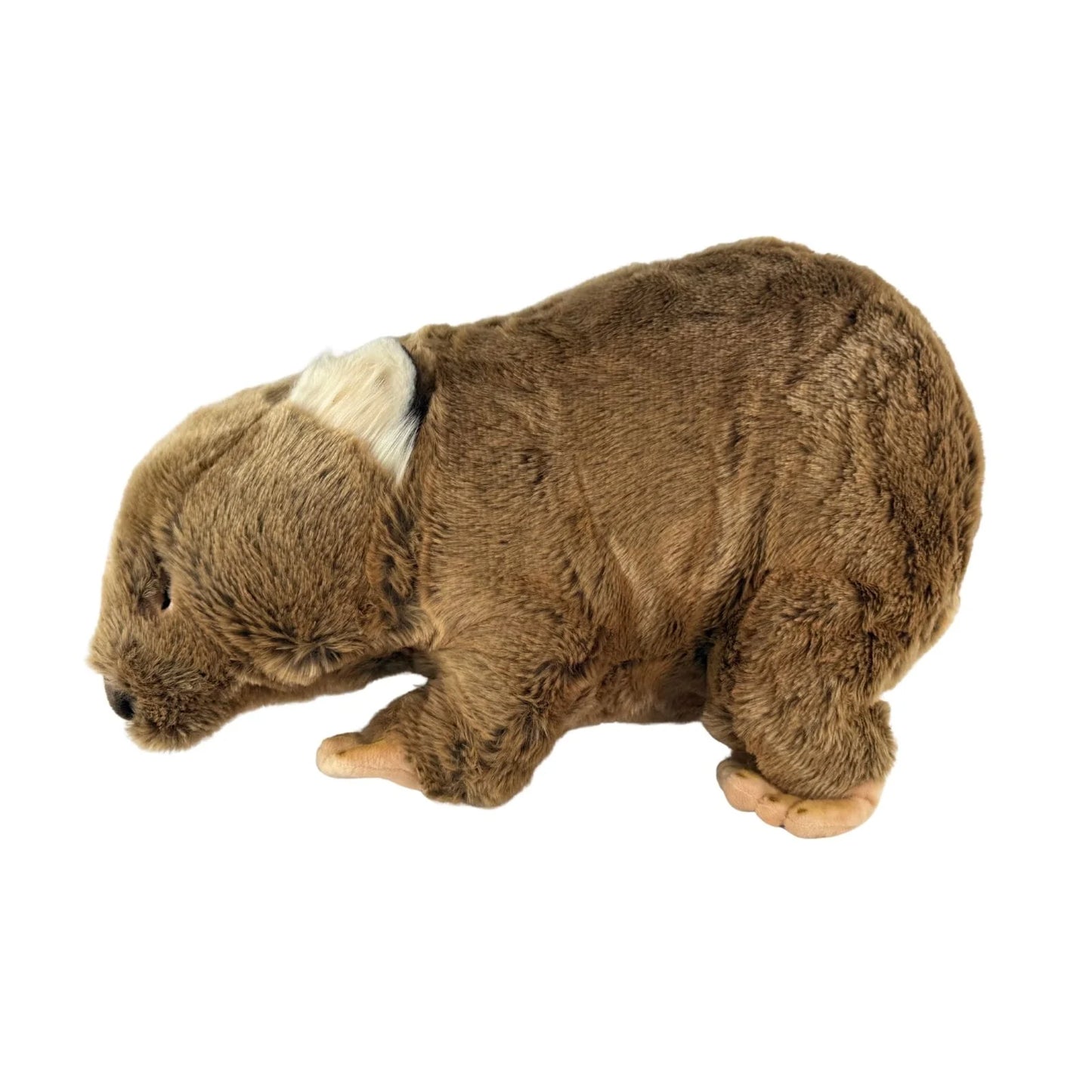 Wallis - Wombat With Satin Pocket (55cm)
