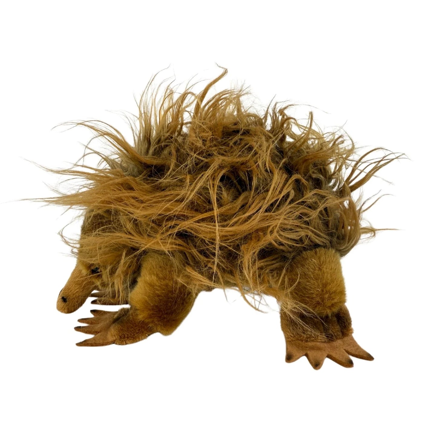 Harry - Echidna - 24cm