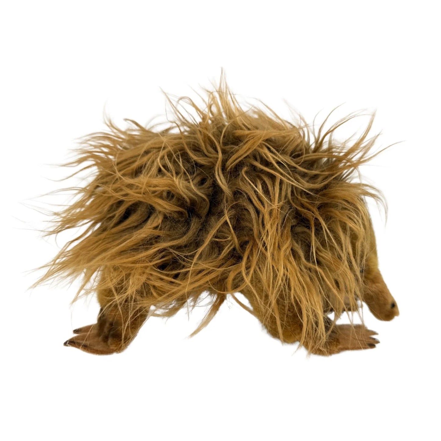 Harry - Echidna - 24cm