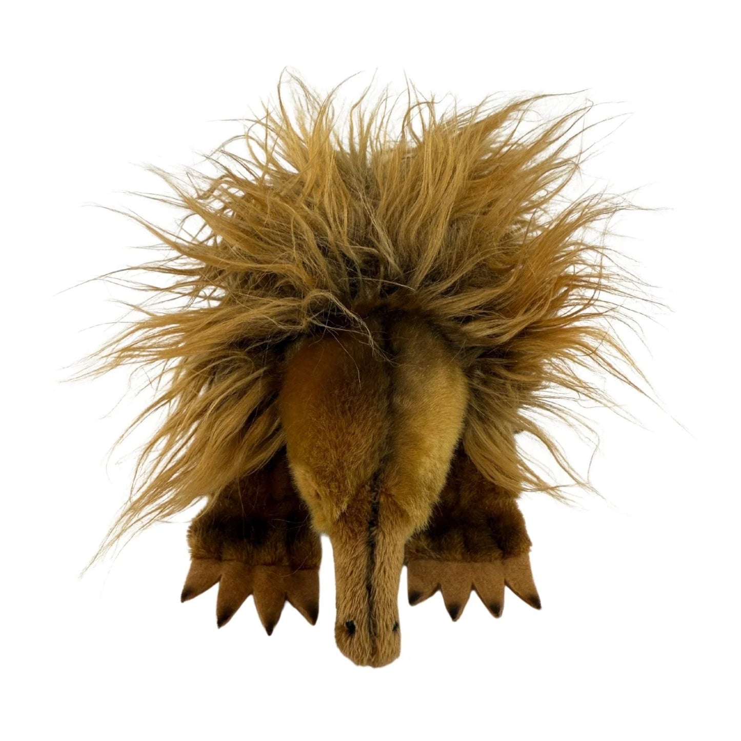 Harry - Echidna - 24cm