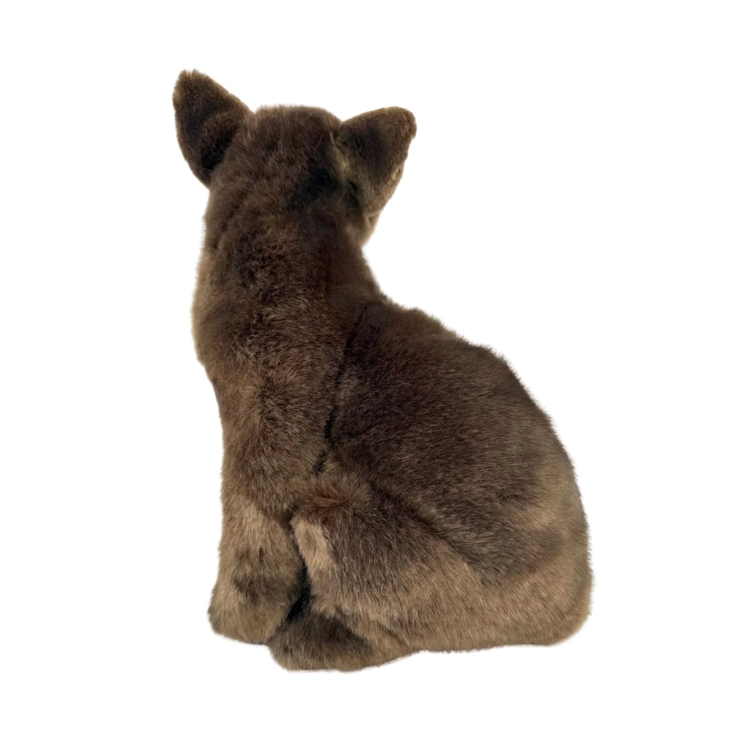 Nutmeg - Burmese Cat - 26cm Sitting, Chocolate Brown