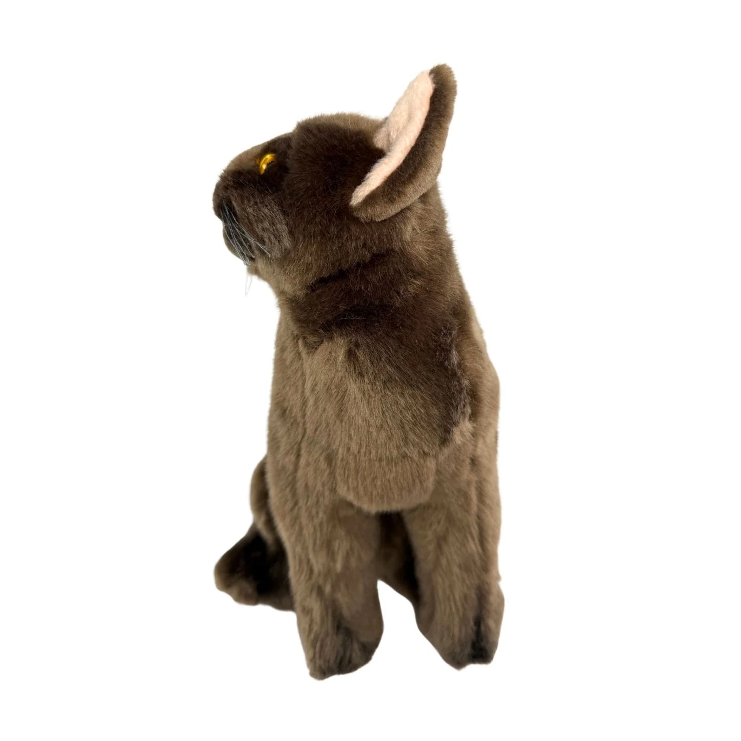 Nutmeg - Burmese Cat - 26cm Sitting, Chocolate Brown