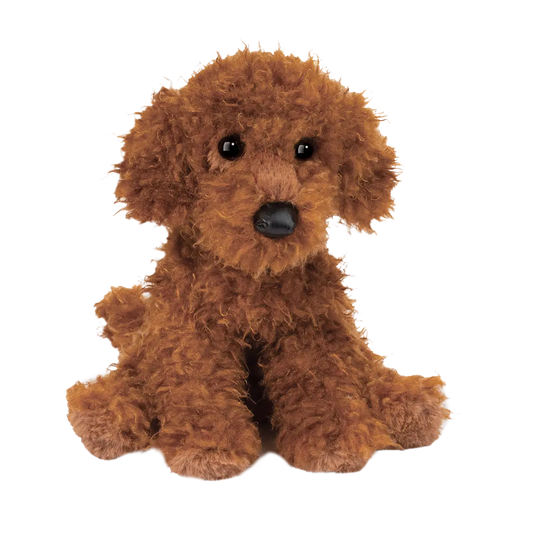 Ginger Miniature Poodle by Douglas