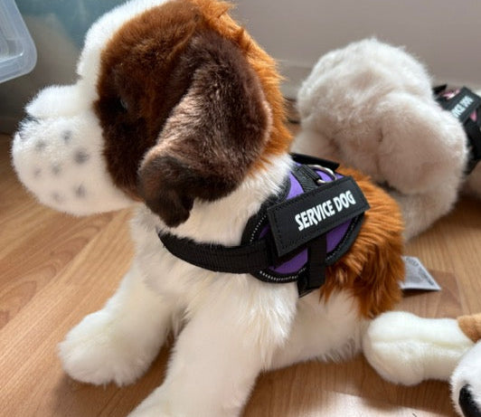 Stuffed dog toy with a 'Service Dog' harness
