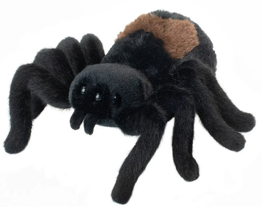 Sneakie Spider by Douglas