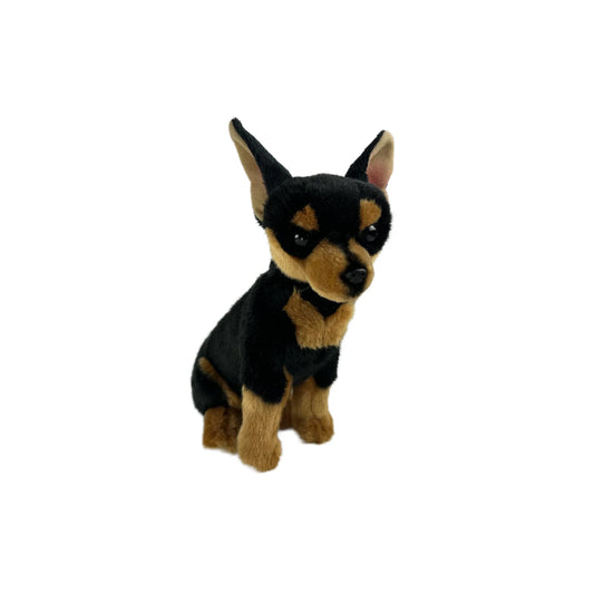 Taco (Chihuahua - 25cm sitting)