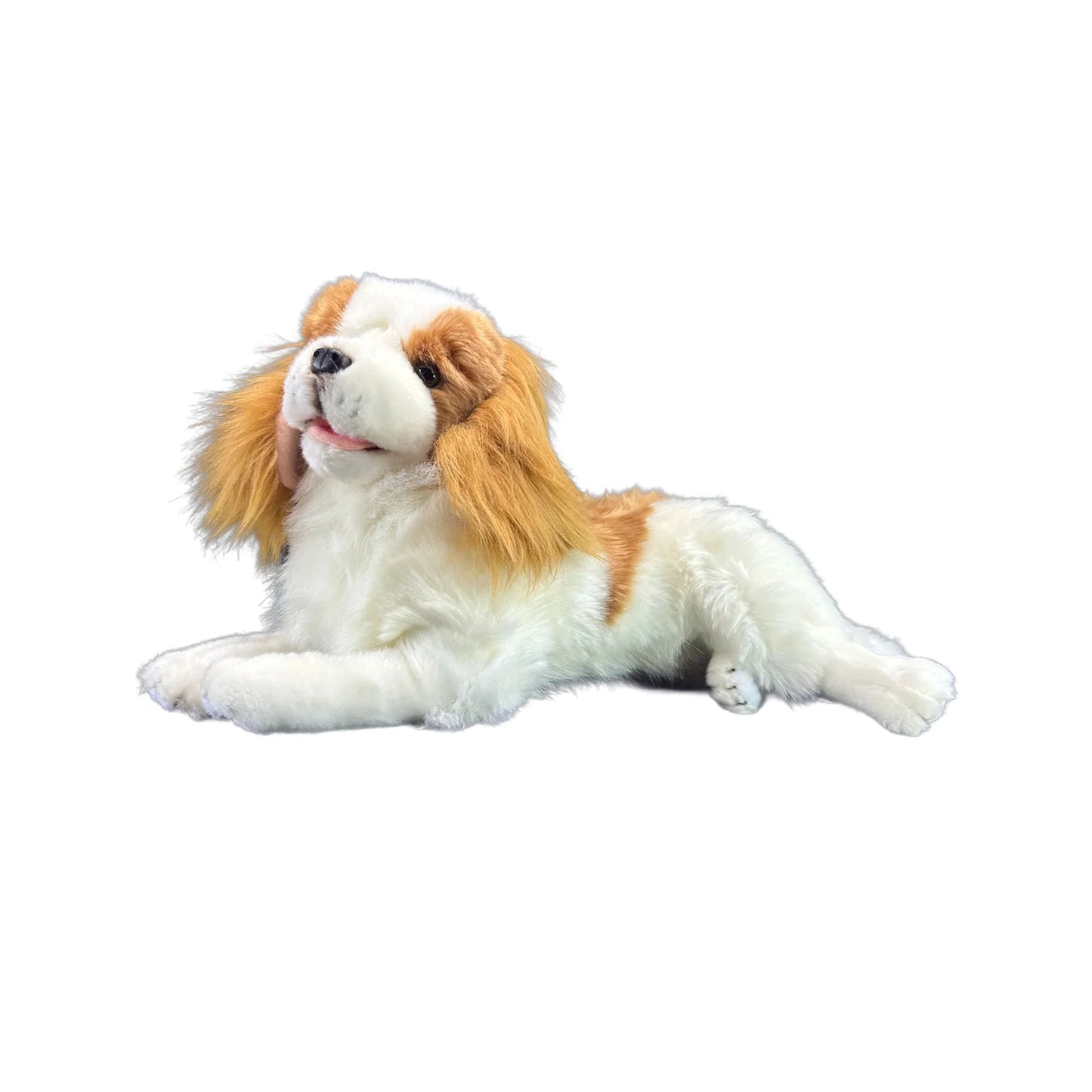 Izzy (King Charles - 40cm lying, brown)