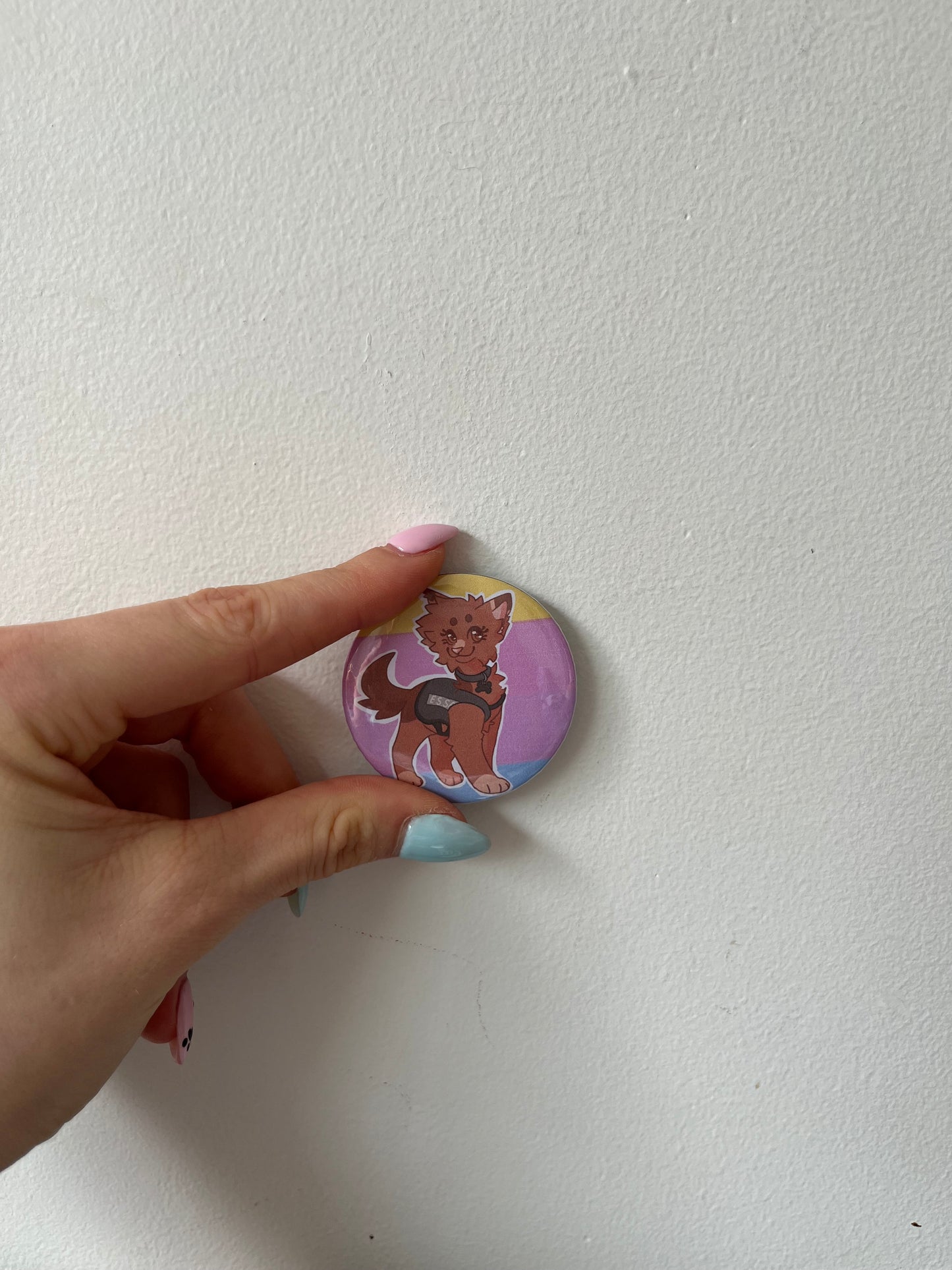 Taegan's ESSA Badge