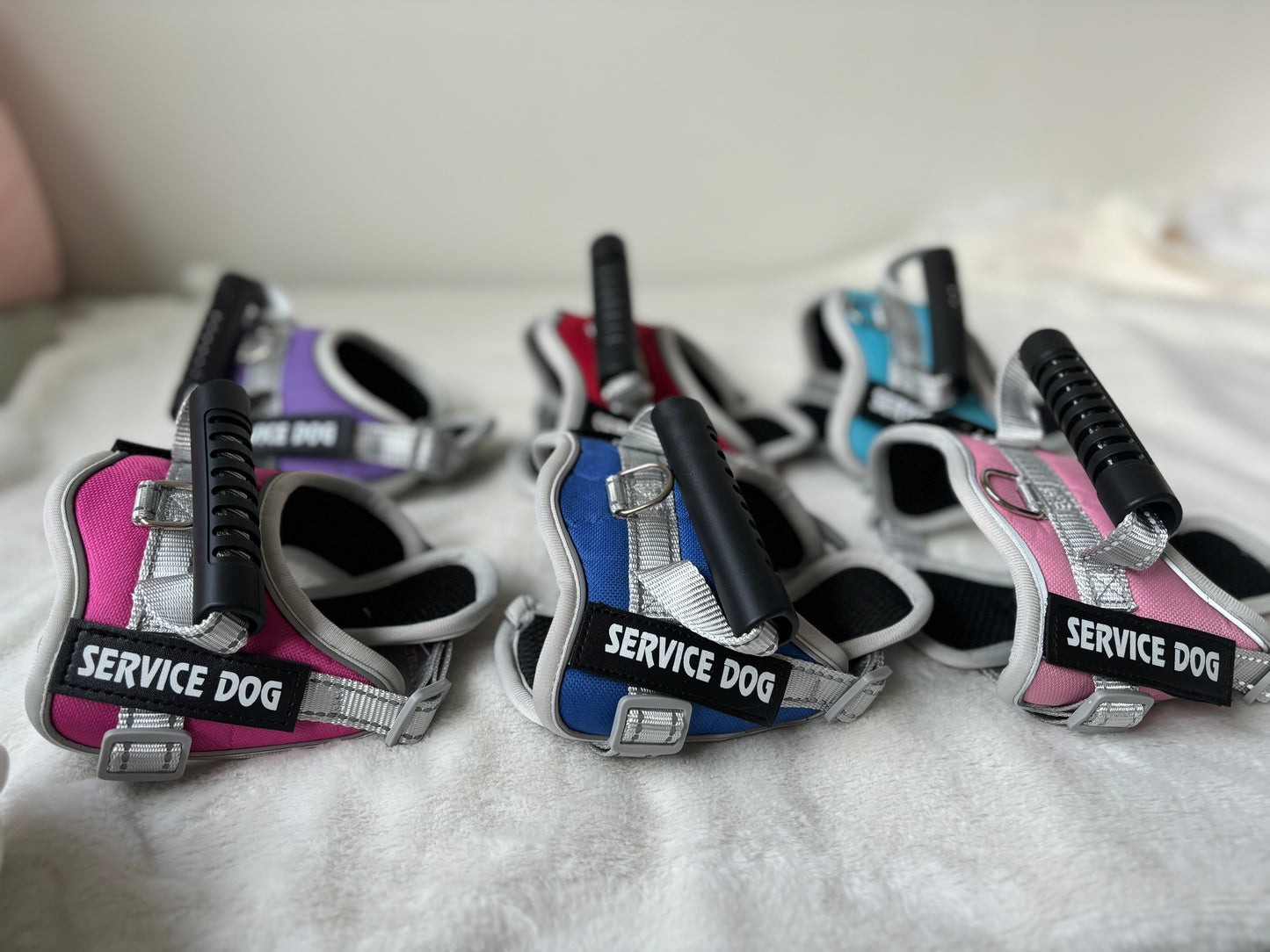 Service dog harness for ESSA
