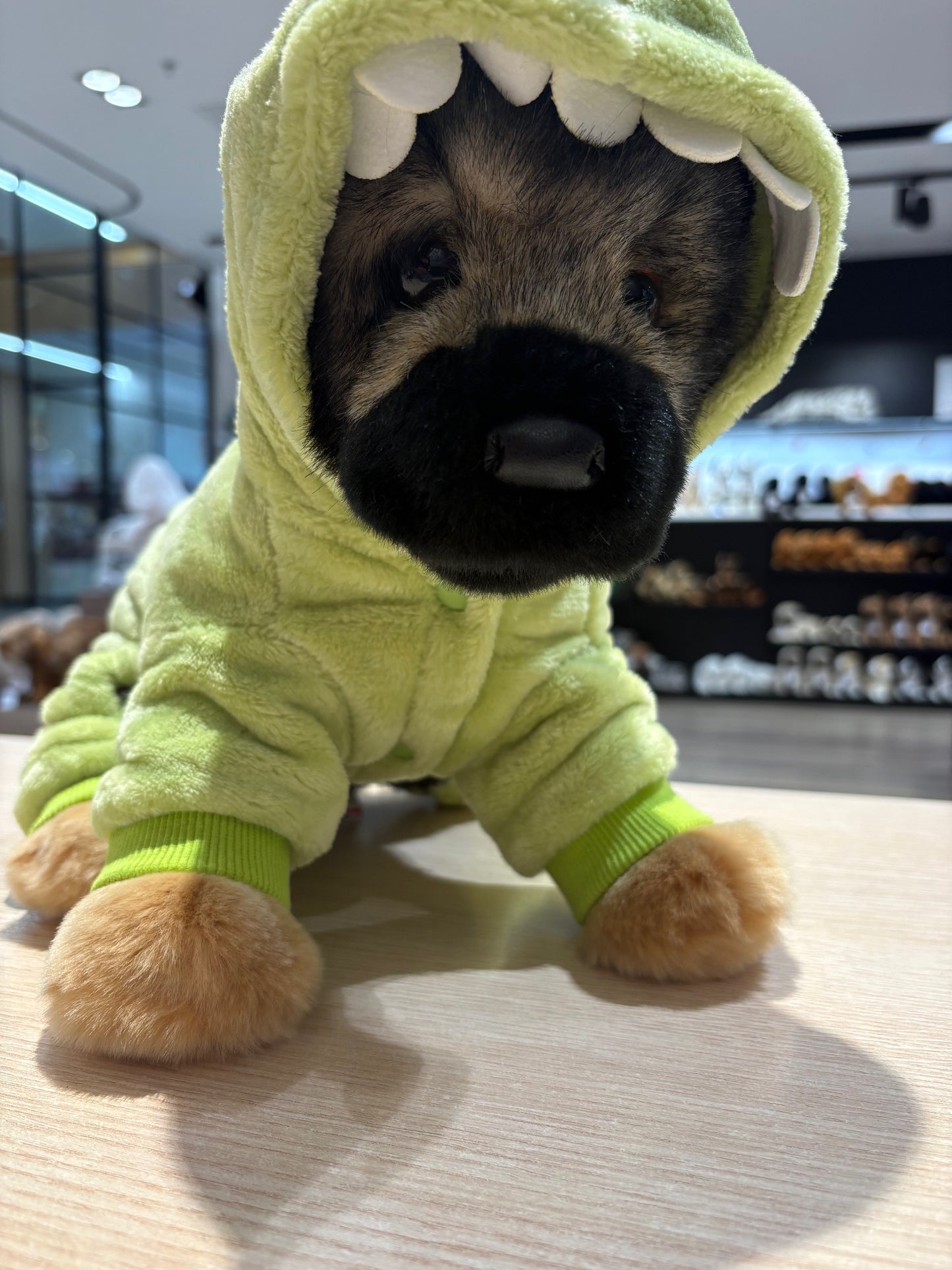 Dinosaur jumpsuits