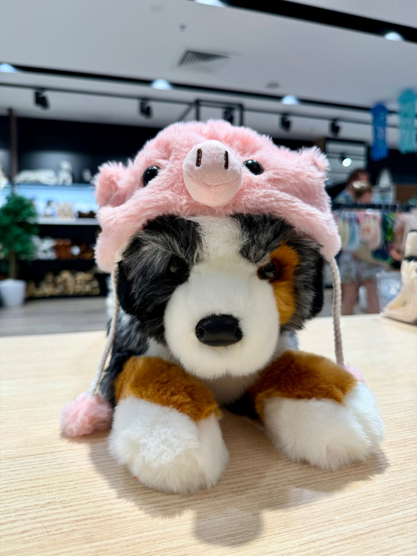 Plush Hat