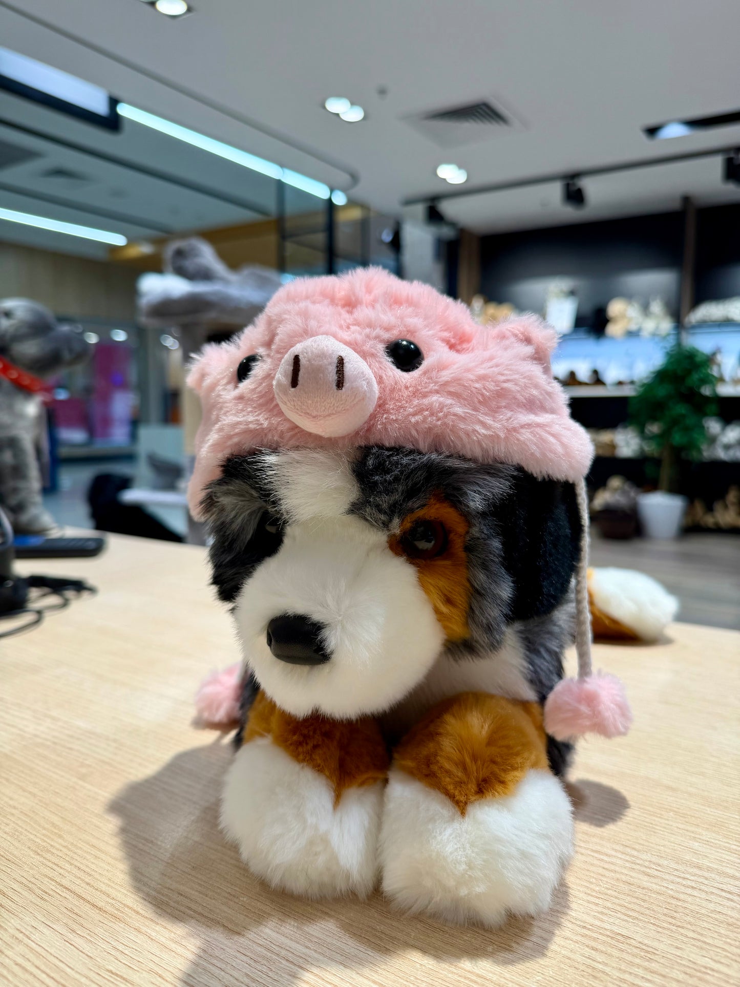 Plush Hat