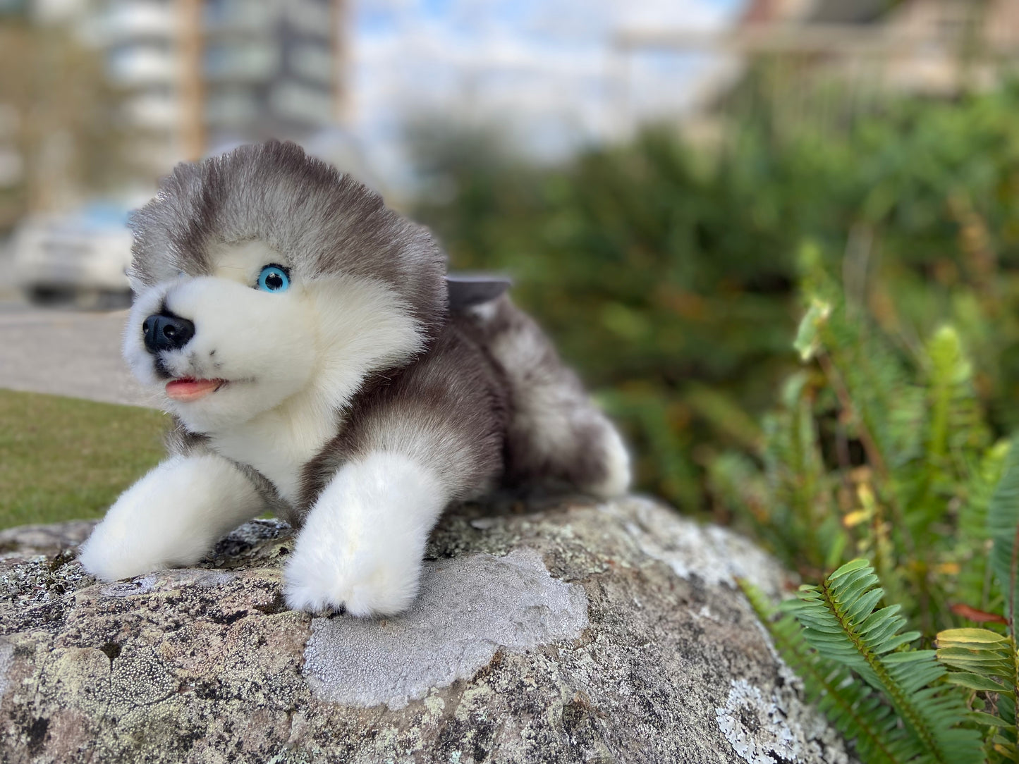 Marbles (Husky - 28cm floppy)