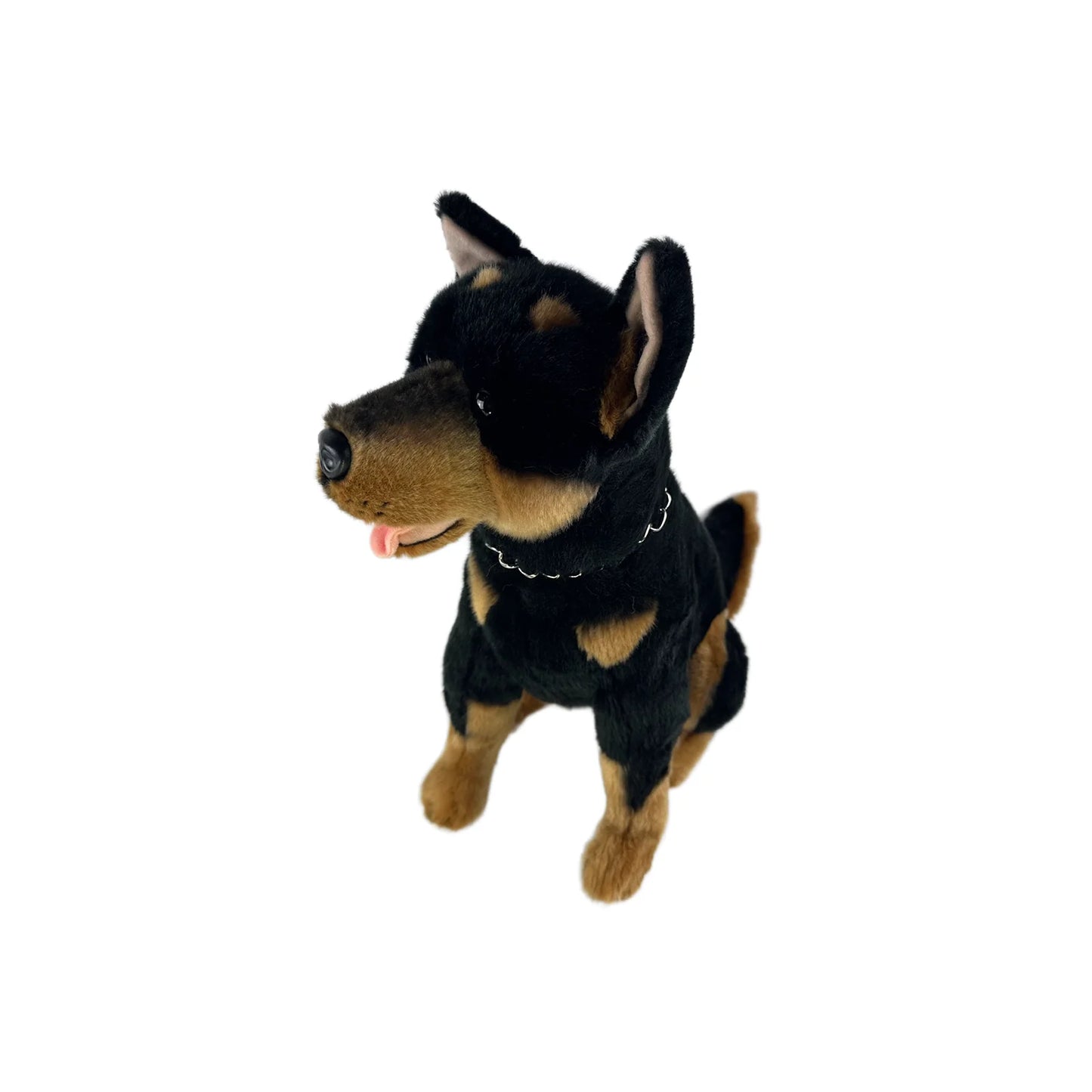 Jake (Kelpie - 38cm sitting, black and tan)