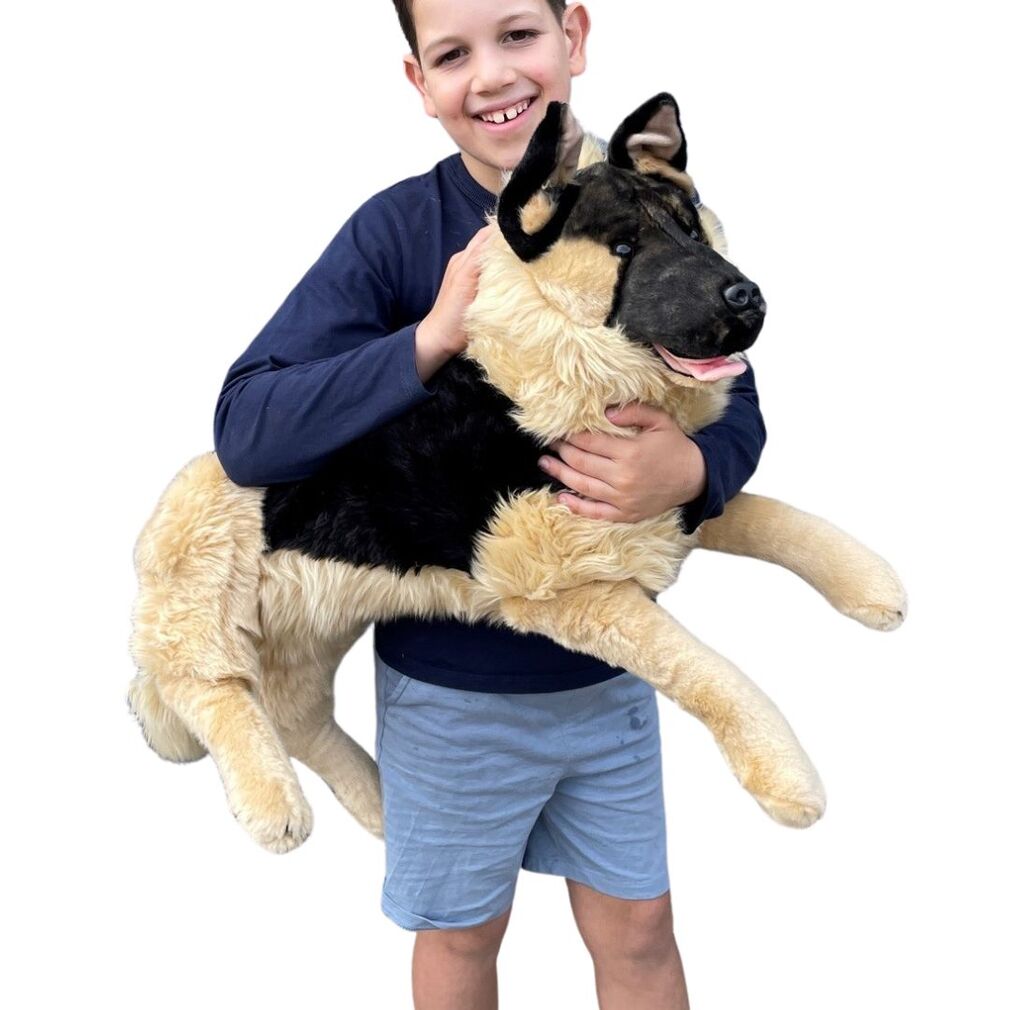 Kaiser (German Shepherd - 64cm lying, black face)