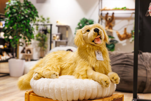 Spencer (Golden Retriever - 62cm lying)