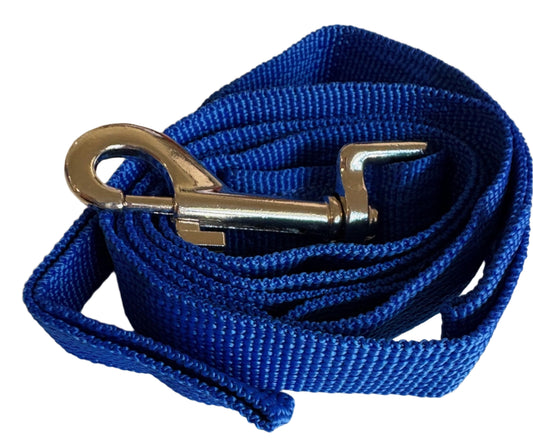 Blue dog leash with a metal clip on a light beige background