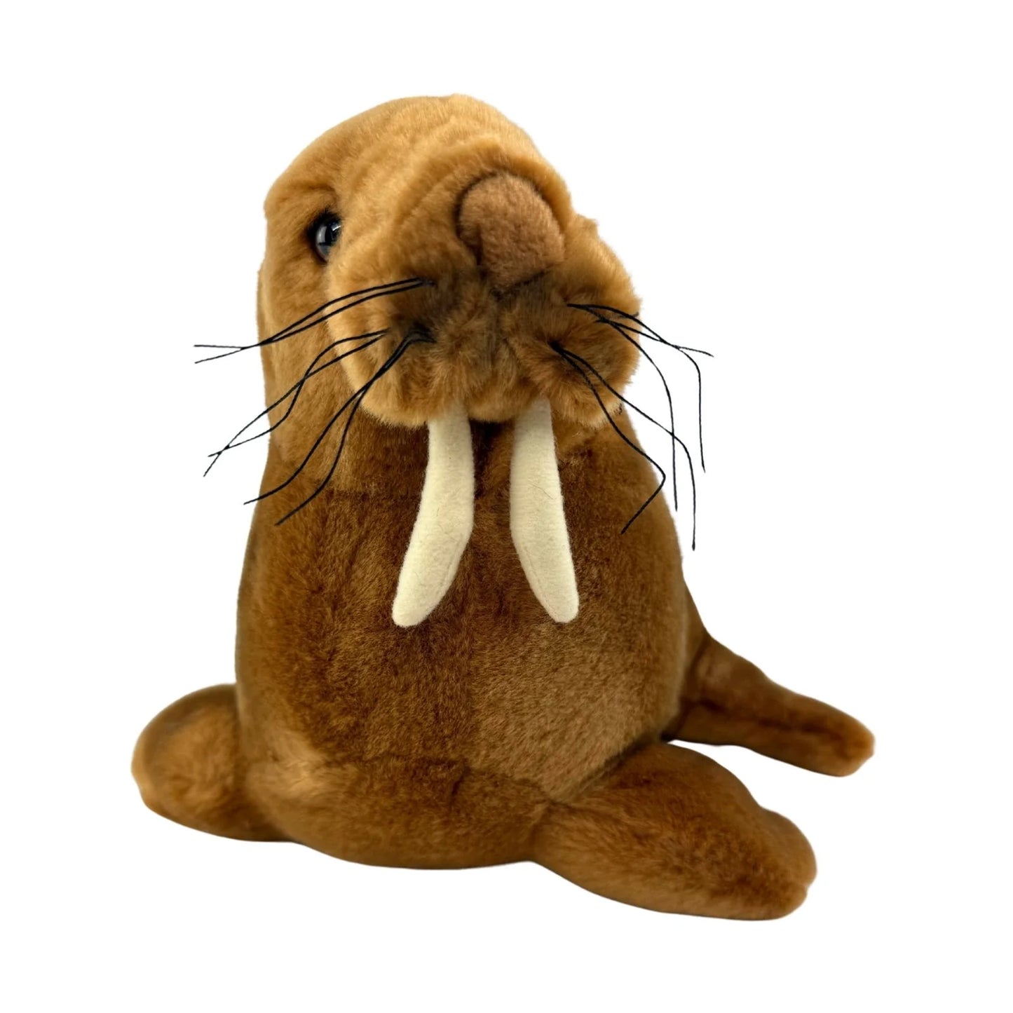 Leopold - Walrus - 26cm