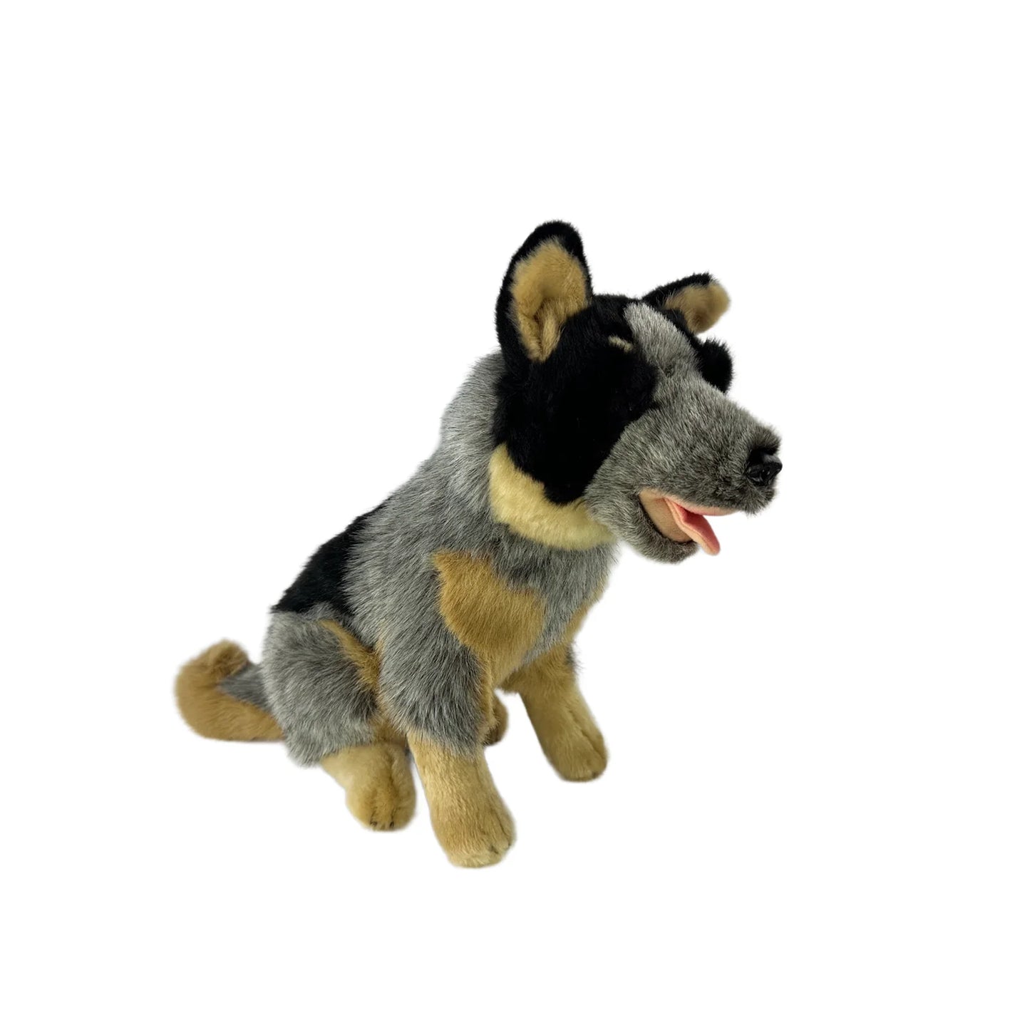 Marshall (Cattle Dog - 30cm sitting)