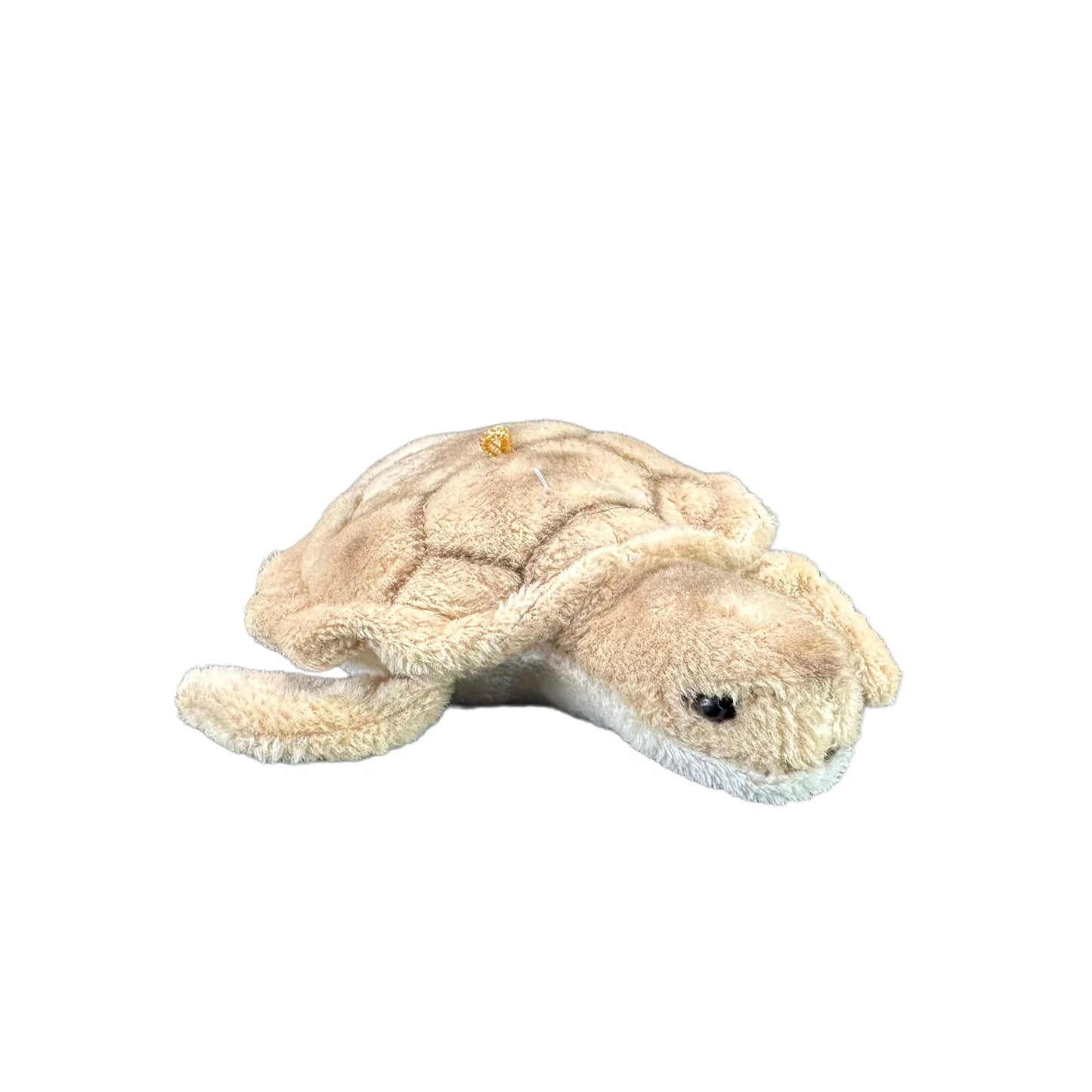 Mini Turtle (Mini turtle - 11cm)