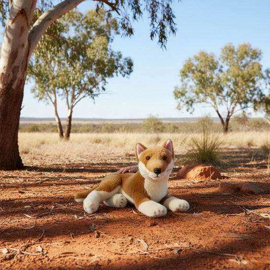 Nelly - Dingo - 40cm lying