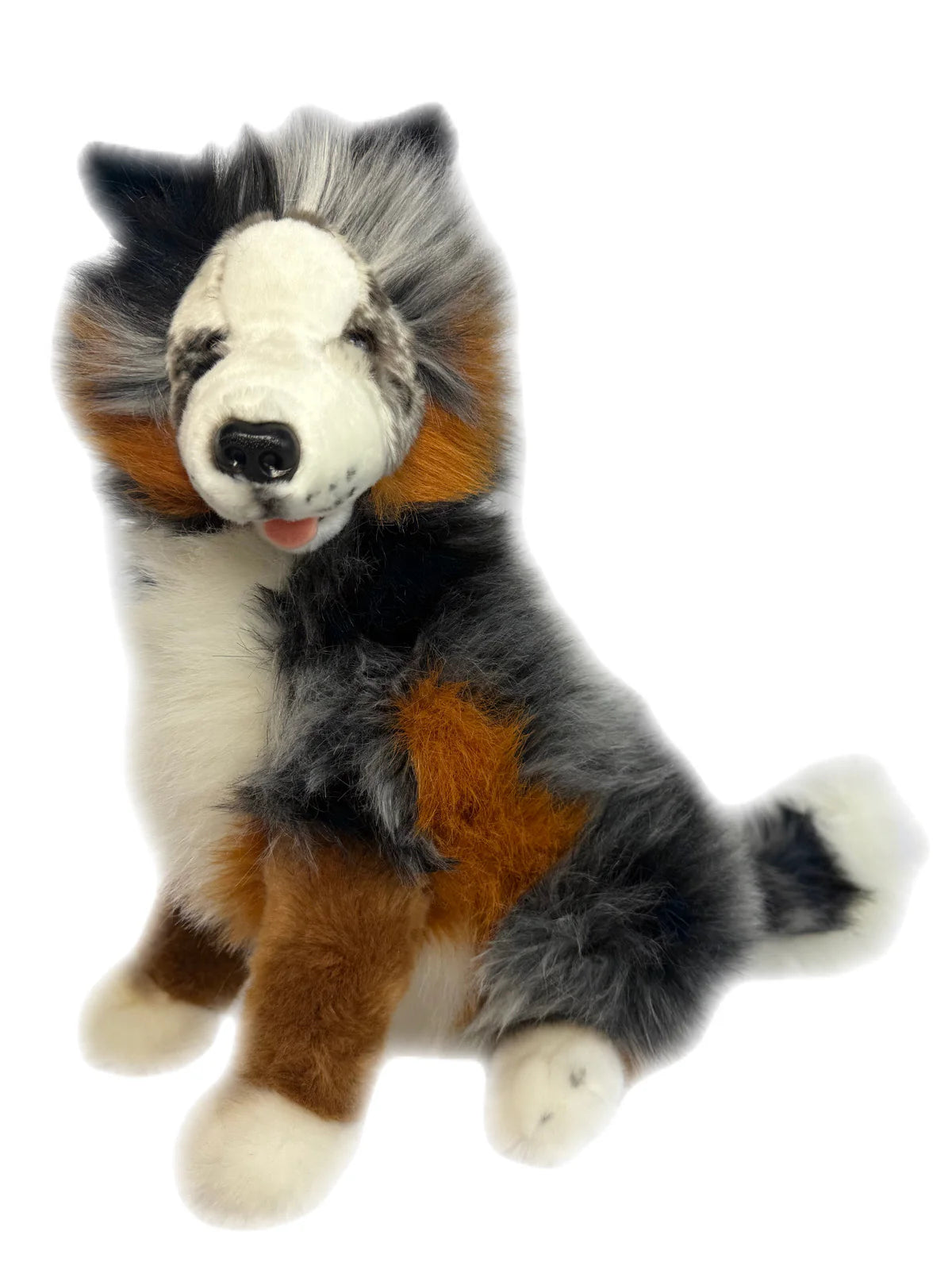 Oakley (Australian Shepherd - 35cm sitting, Blue Merle)
