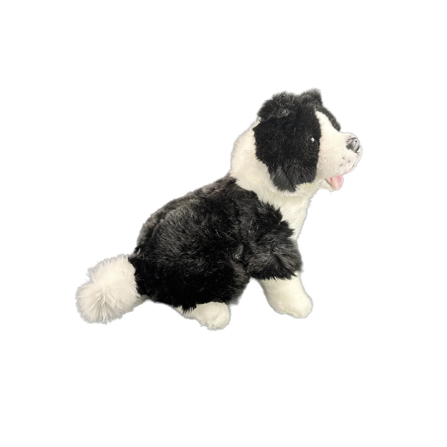 Pepsi (Border Collie - 23cm sitting)