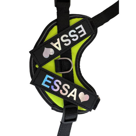 ESSA patches (2 pieces)