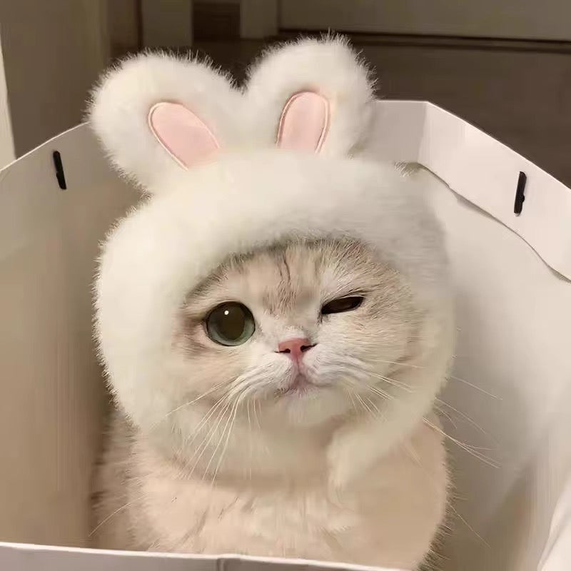Plush Hat