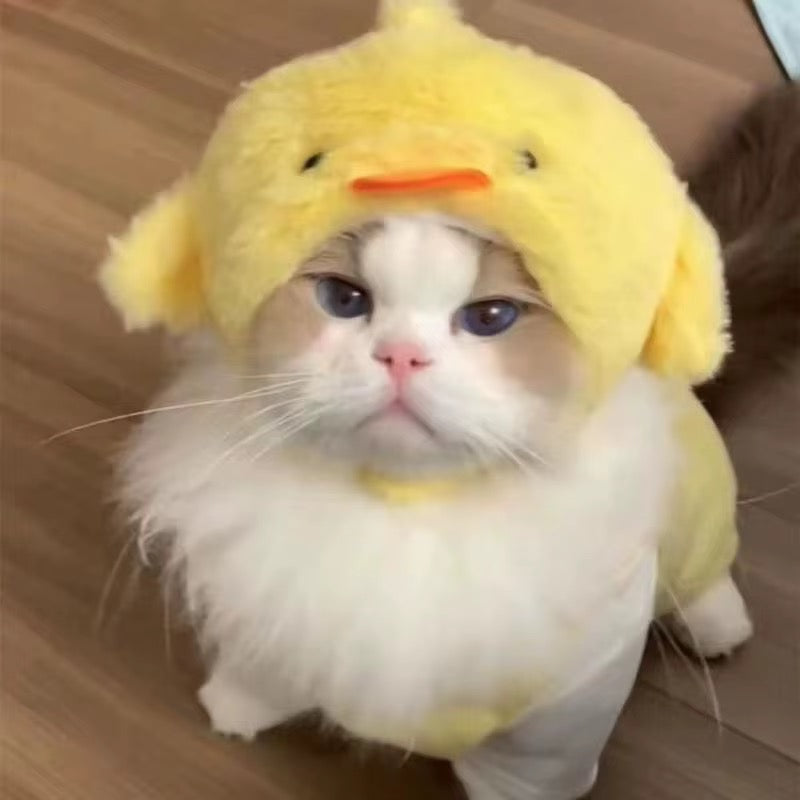 Plush Hat