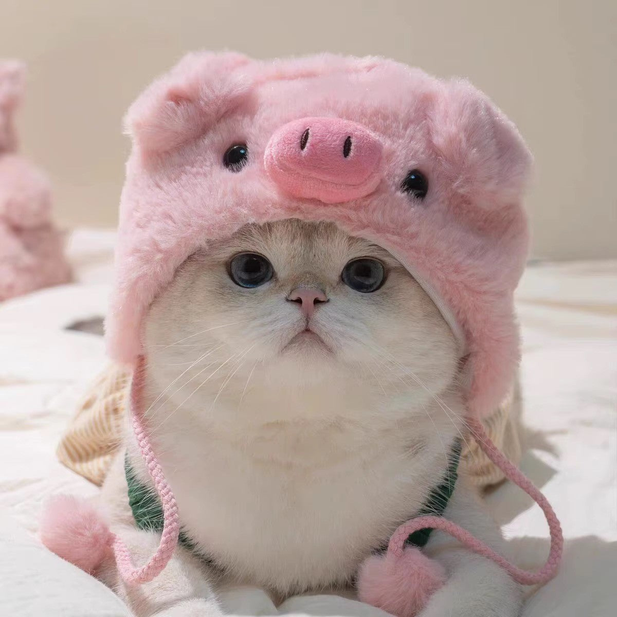Plush Hat