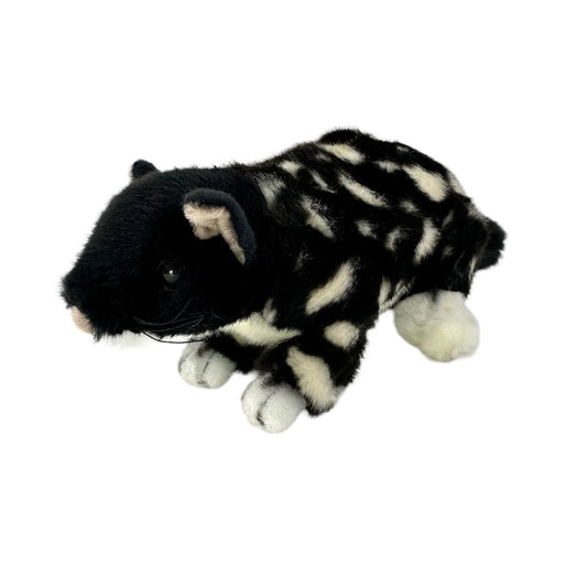 Spotty and Polka (Eastern Quoll - 20cm, black)