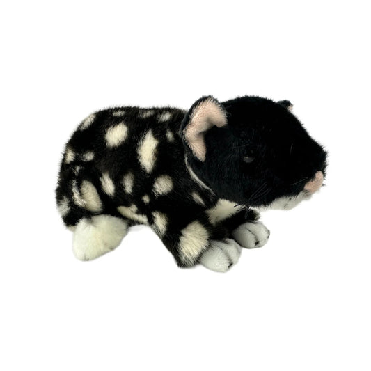 Spotty and Polka (Eastern Quoll - 20cm, black)