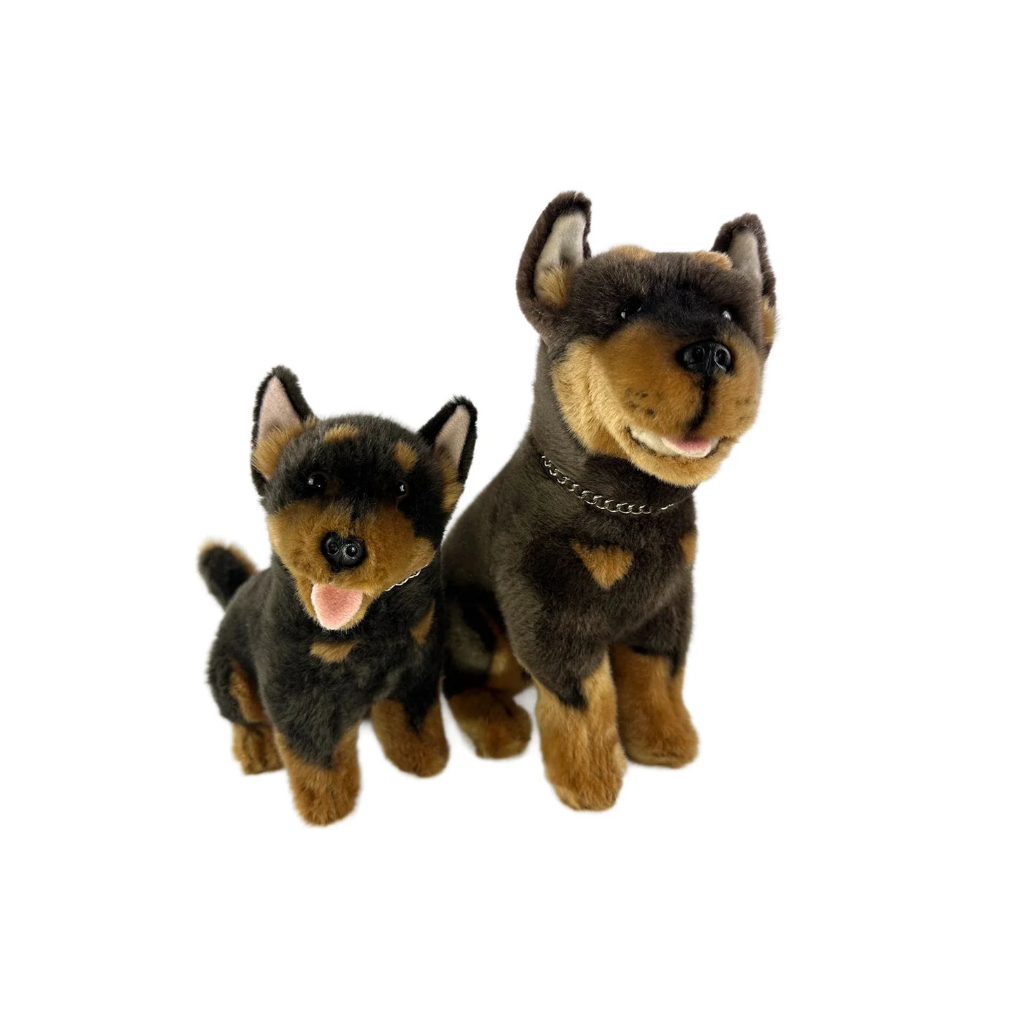 Quinn (Kelpie - 22cm sitting)