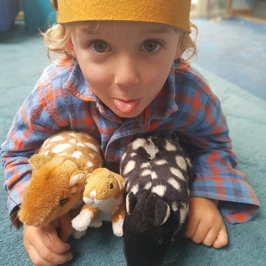Dotti (Eastern Quoll - 30cm)